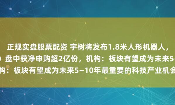 正规实盘股票配资 宇树将发布1.8米人形机器人,机器人ETF(159770)盘中获净申购超2亿份,机构:板块有望成为未来5—10年最重要的科技产业机会之一